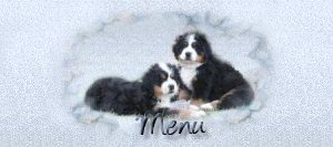 retour menu Kal�
